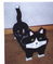 Cat feeder, handcrafted & hand painted with s/s bowls