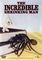 THE INCREDIBLE SHRINKING MAN 50's Classic Sci-Fi Film