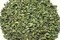 Chaparral Leaf / Gobernadora,