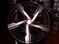 4 20 inch quantum wheels atlanta (with shipping available)