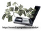 Get Paid $$$$ for Taking Online Surveys - No Fees to be paid