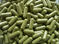 Moringa Oleifera 60 Capsules 425mg