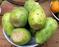 Prickly Pear Green Fruit Powder:A Nopal Cactus Fruit Dehydrated