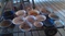 13 Old Round Pans