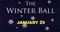 The Winter Ball for Single Professionals