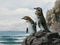 GaLapagos Penguins Cross Stitch Pattern***L@@K***