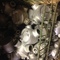 CONDULET FITTINGS - DEVICE and J BOXES