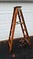 Wooden Linesman Ladder