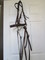 Bridle and reins