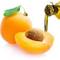 Apricot Kernel Oil 60 Capsules 700 mg