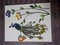 Palm Harbor Affordable Treasures