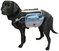 Dog Backpacks by Outward Hound