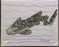Original Art Piece Titled "Zebra Shark" on Canvas