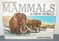 Set of 6 Pop-Up Books -- ALL for $35