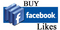 Social Media Promoting Services:
