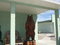 HAND CARVED WOODEN BEAR