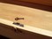 an 1880's 3-DRAWER DRESSER from the Eastlake influence