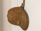 Estate Oil & Gas Memorabilia Antique Chinese Straw Hard Hat