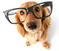 DOG TRAINING AT ITS BEST!!!