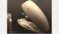 Looking for a partner in New Medical Spa