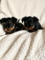 Male and Female Yorkie puppies ready
