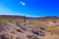 White Hills, Arizona Land - Only $399 Down