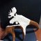 Hand Crafted Antler Carvings