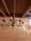 Brass Finish Chandelier