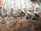 Used Golf clubs