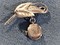 Ladies Vintage Pendent Swiss Excellent Condition