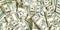 I am a registered and genuine money lender