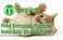 Feed Extrusion Plant for Baby Cats 30-40 kghr. Buy Now!