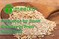 Production for 2tonH Granulated Sesame Seed