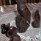 Vintage Hand Carved Iron Wood Eagles / Duck /Pheasant Quail