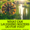 What Can Laughing Waters Do For You?