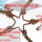 new platform crowdfunding