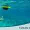 Tankless Scuba- Cheerful Experience