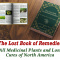 The Lost Book of Herbal Remedies