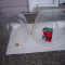 MINI GREEN HOUSE DOMES 2