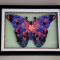 Innovative gifts decor Abstract Butterfly artwork Aadhi Creation