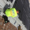 Solar Contractors in San Diego
