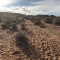 LAND FOR SALE -Large Beautiful Secluded Spot in Moapa Valley!