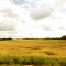 Land For Sale - Prime Location