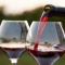 Wine Ambassador