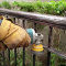 Removing RUST from metal structures | Balconies | Fences |