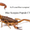 Blue Scorpion Chronic Pain Relief