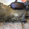 GM Transmission 4L60E 4x4 core for sale
