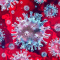 COVID-19 Outbreak Updates