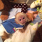 Cute And Adorable Capuchin Monkeys For Adoption