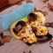 Top quality baby capuchin monkeys
